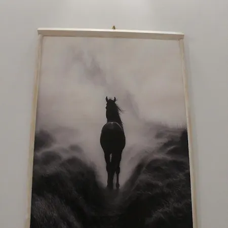 Apartment Griseo Equus Geas *